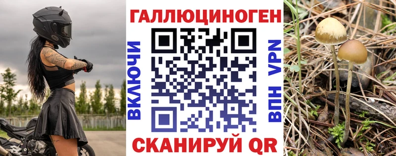 кракен рабочий сайт  Курск  Псилоцибиновые грибы ЛСД 