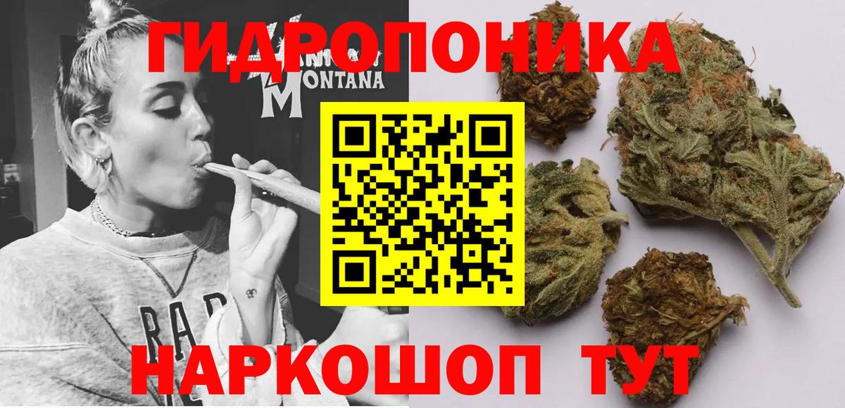 Курск  Шишки марихуана марихуана  Бошки марихуана планчик  Вход с VPN 